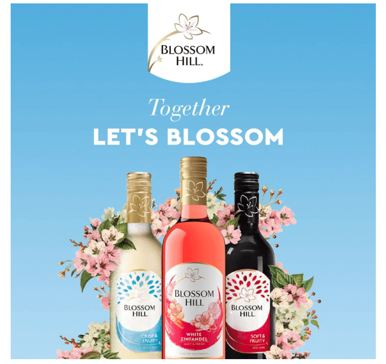 Blossom Hill Rose Wine, 75cl, (Case of 6) - Crown Cash & Carry -whole prices in United Kingdon