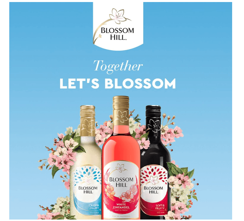 Blossom Hill White Wine, 75cl, (Case of 6) - Crown Cash & Carry -whole prices in United Kingdon