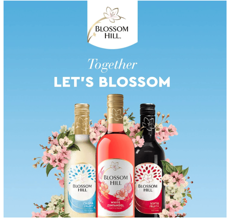 Blossom Hill Grenache Rosé Wine Case from California (6 x 75cl Bottles) - Crown Cash & Carry -whole prices in United Kingdon