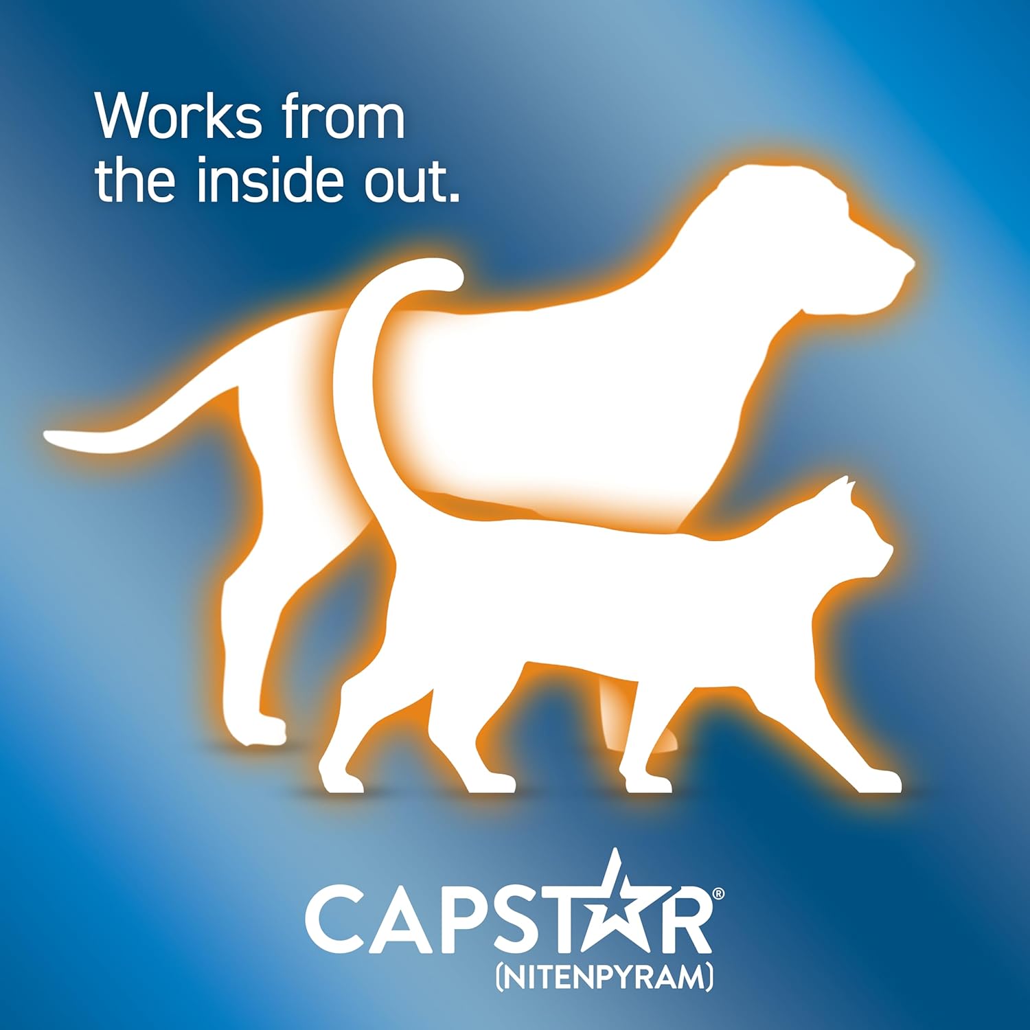 Capstar Flea Tablets for Dogs and Cats from 1kg to 11kg, Oral Medication for Flea Treatment in Small Dogs and Cats, Contains 6x 11.4mg Nitenpyram Flea Tablet