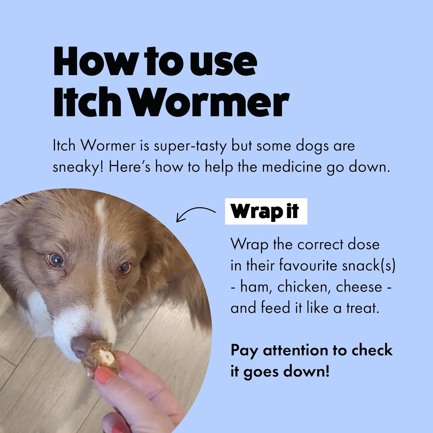 Itch | Worming Tablets for Dogs | 2 Pack | Treats Roundworms, Tapeworms, Hookworms and Whipworms | Kills Worm Larvae (packaging may vary)