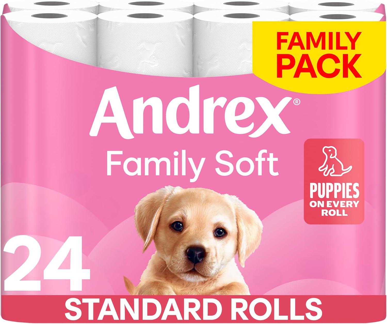 Andrex Family Soft Toilet Paper 24 Rolls (Previously Andrex Gentle Clean) Gentle on your Family’s skin– Pack of 24 Toilet Rolls, FSC Certified