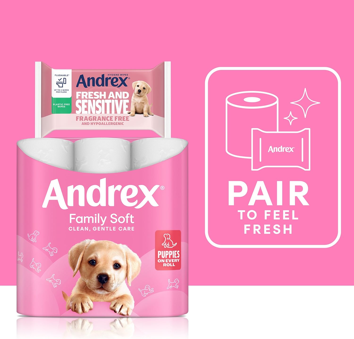 Andrex Family Soft Toilet Paper 24 Rolls (Previously Andrex Gentle Clean) Gentle on your Family’s skin– Pack of 24 Toilet Rolls, FSC Certified