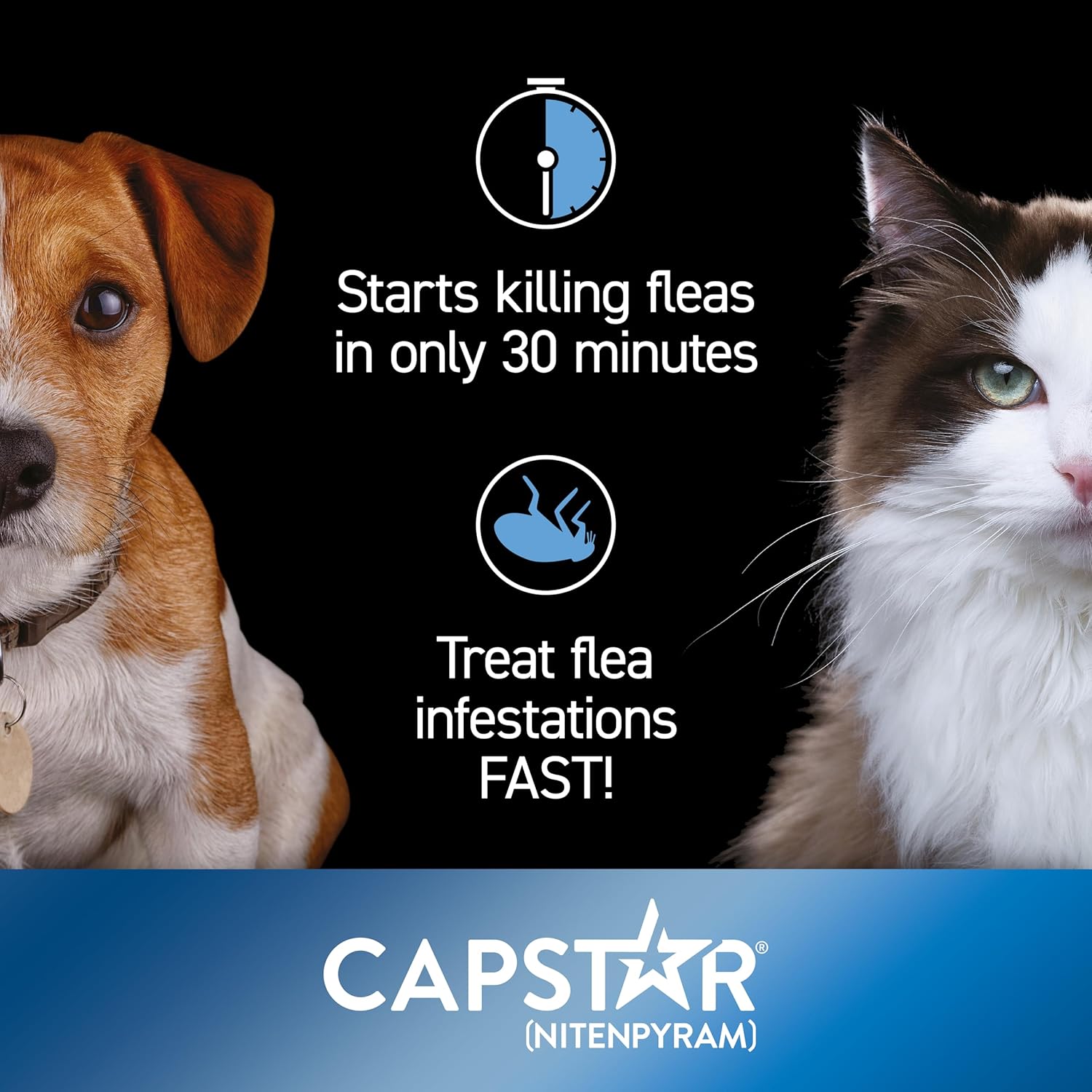 Capstar Flea Tablets for Dogs and Cats from 1kg to 11kg, Oral Medication for Flea Treatment in Small Dogs and Cats, Contains 6x 11.4mg Nitenpyram Flea Tablet