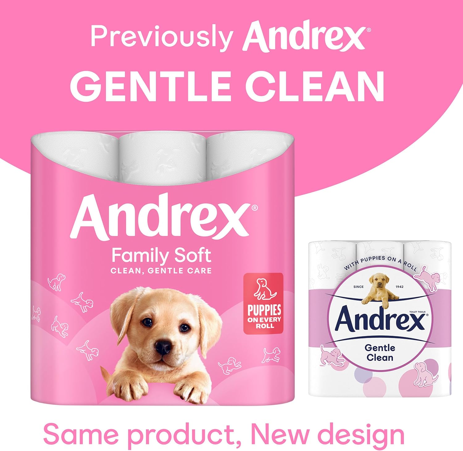 Andrex Family Soft Toilet Paper 24 Rolls (Previously Andrex Gentle Clean) Gentle on your Family’s skin– Pack of 24 Toilet Rolls, FSC Certified