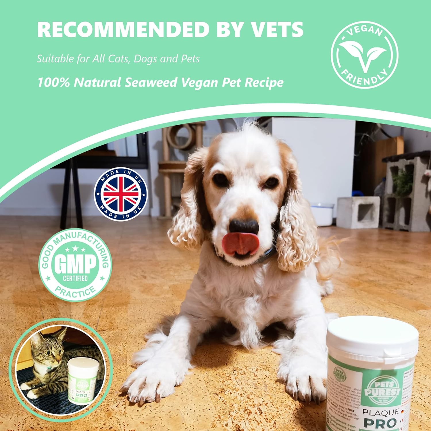 Pets Purest Plaque Off Powder - 185g Plaque Pro Tartar & Plaque Remover for Dogs, Cats & Pet. 100% Natural Bad Breath, Teeth & Gum Disease Oral Health Hygiene Dental Care Formula