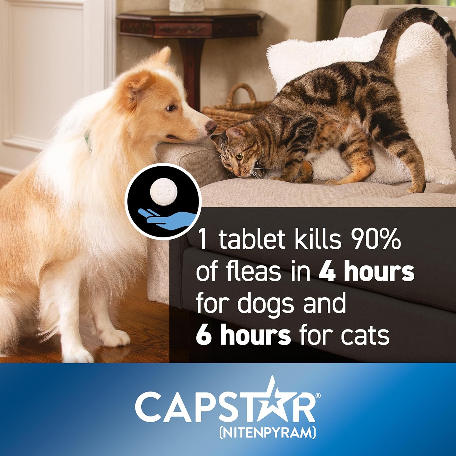 Capstar Flea Tablets for Dogs and Cats from 1kg to 11kg, Oral Medication for Flea Treatment in Small Dogs and Cats, Contains 6x 11.4mg Nitenpyram Flea Tablet